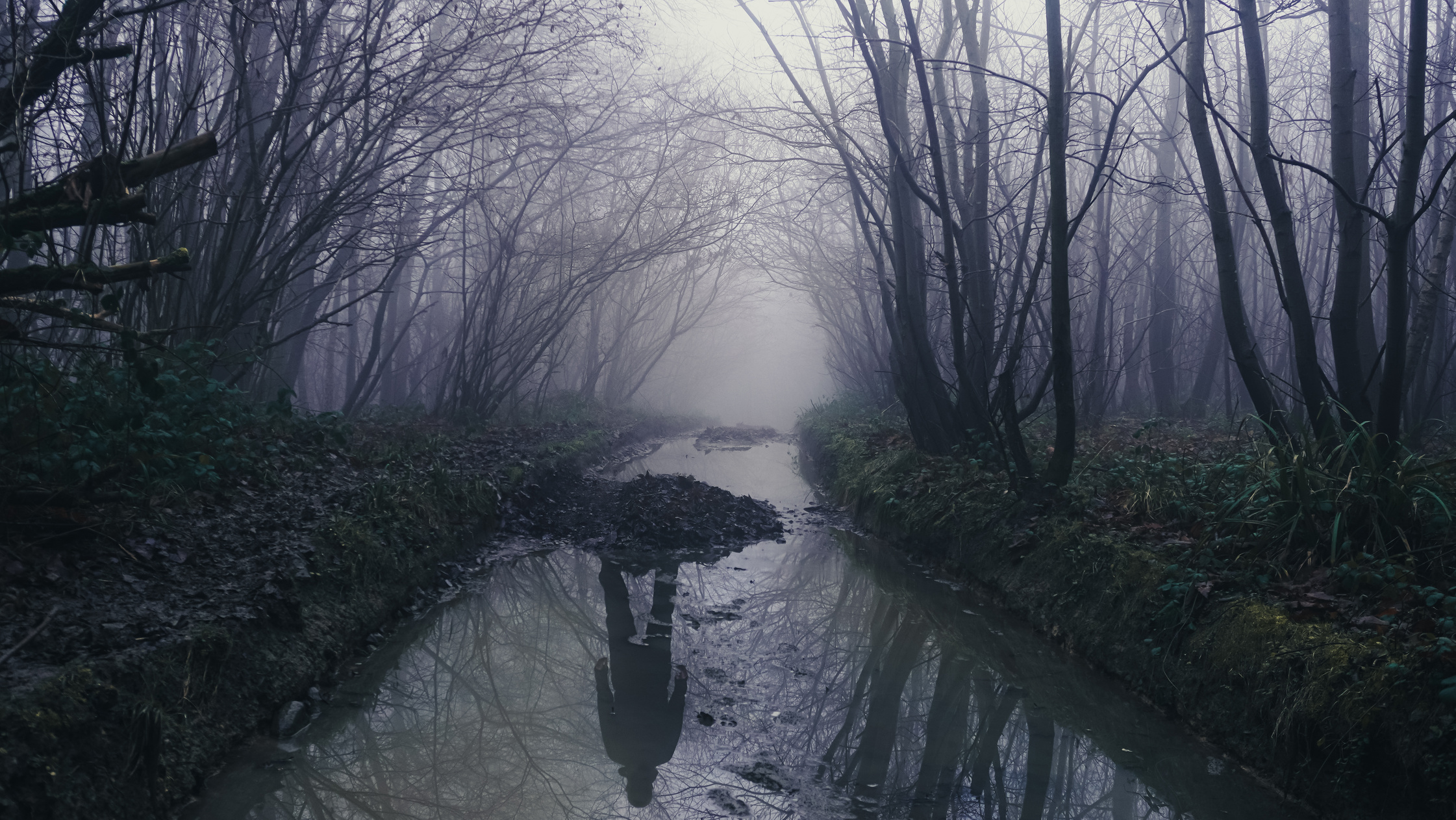 Figure Reflected on the Water in an Eerie Forest